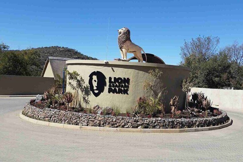 Lion safari park tour(Half-day)