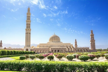 Discover Muscat: Group City Tour