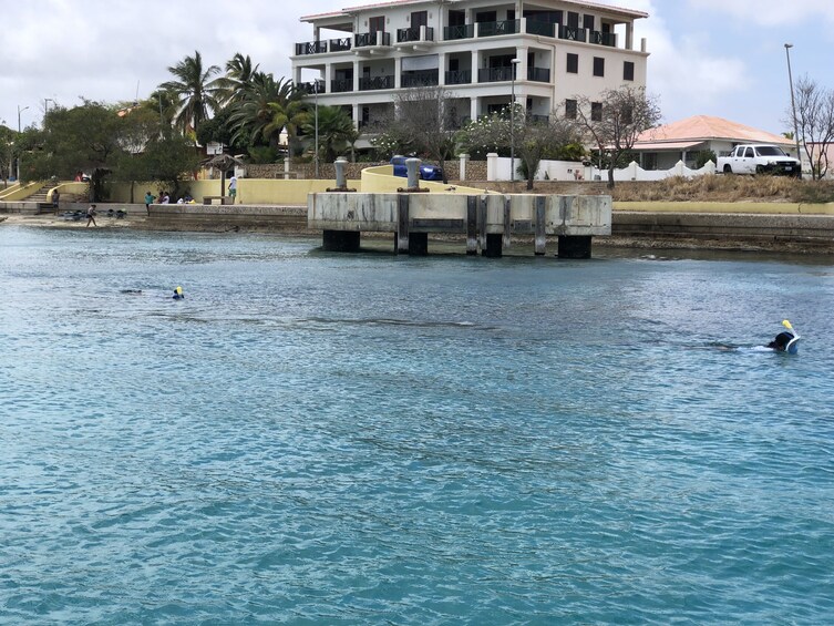 Canoe & Pull Snorkel Tour