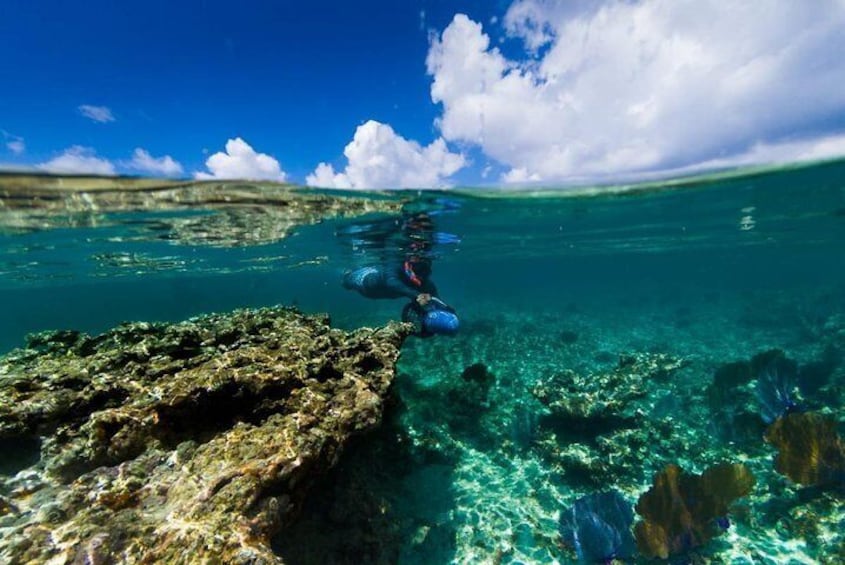 Power Snorkel, Mexican Food & Tequila