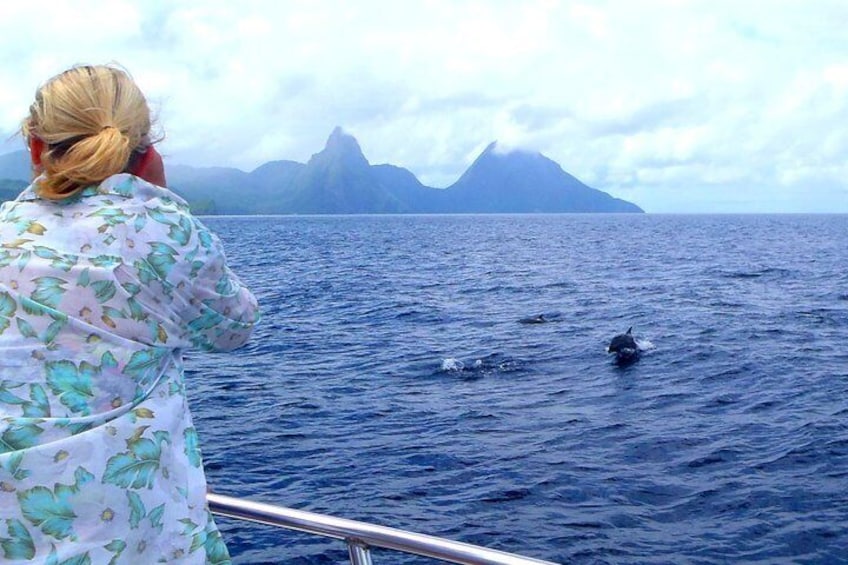 Dolphin Pitons