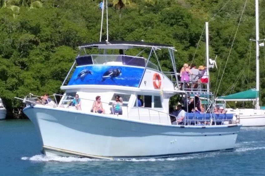 Our Whale Watching Vessel