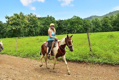 Équitation dans la jungle + expérience chocolat