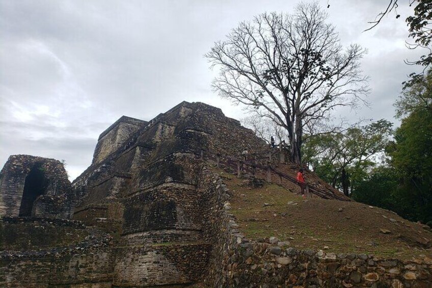 Private Altun Ha, Monkey Sanctuary and Rum Factory Tour from Belize City