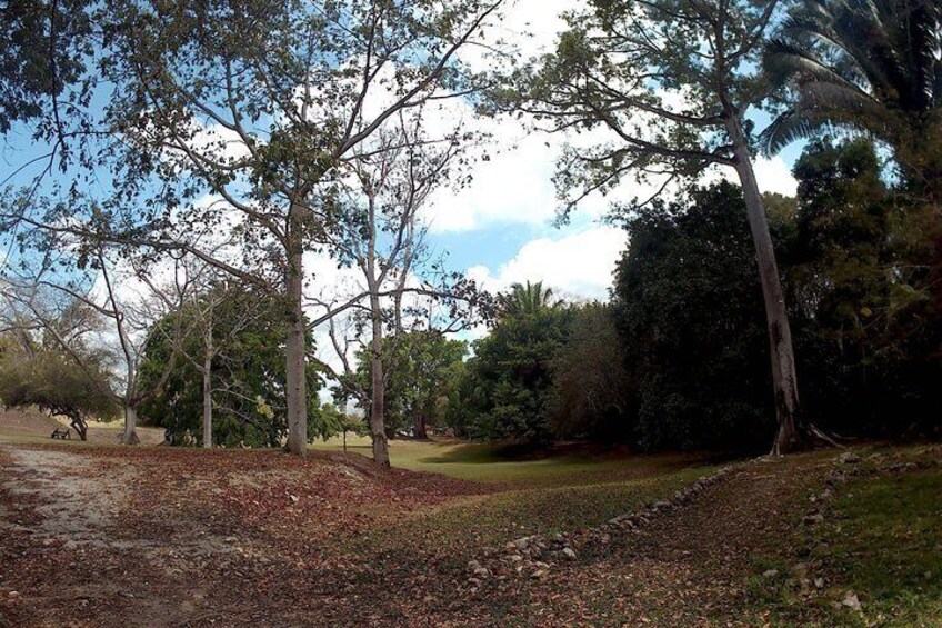 Private Altun Ha, Monkey Sanctuary and Rum Factory Tour from Belize City