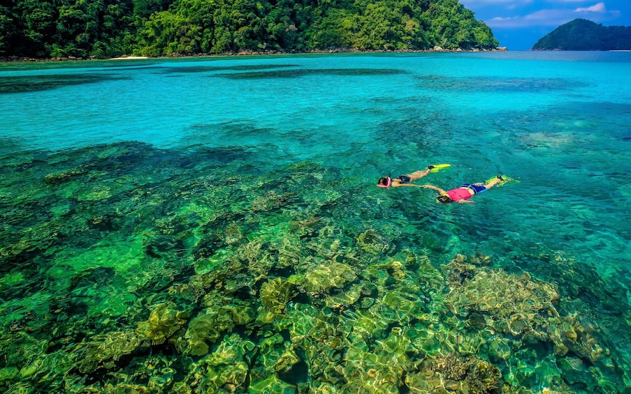 Surin Islands Snorkel Tour by SeaStar Andaman from Phuket