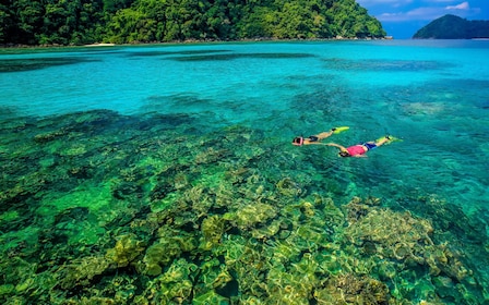 Surin Eilanden Snorkeltour door SeaStar Andaman vanuit Khao Lak