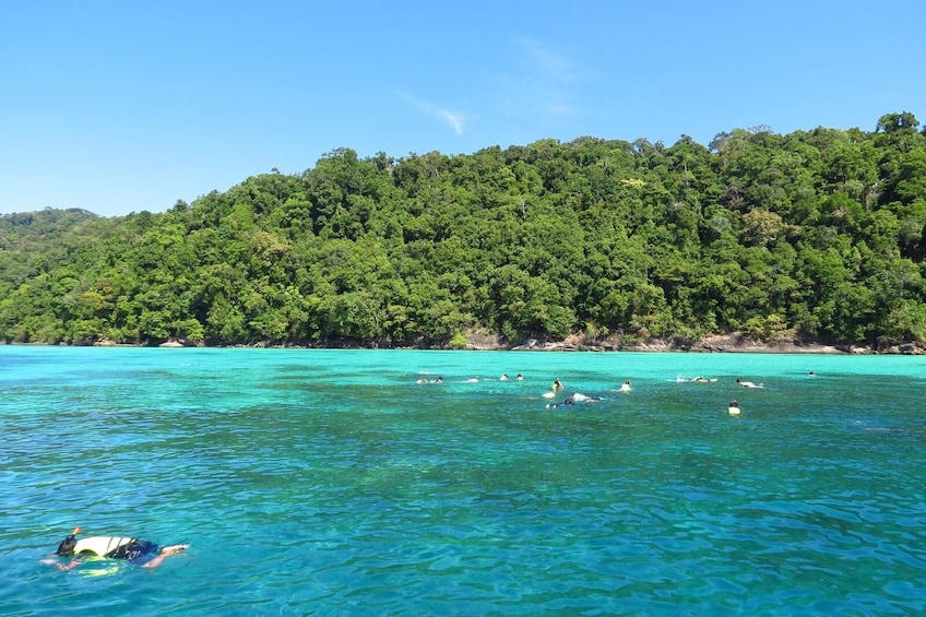 Surin Islands Snorkel Tour by SeaStar Andaman from Khao Lak