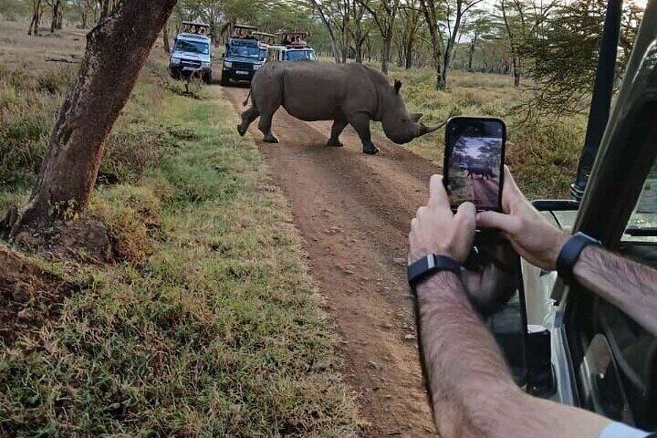 Lake Nakuru National Park Day Trip and Lake Naivasha Boat Ride 