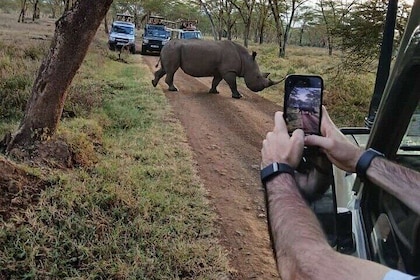 Dagsafari til Lake Nakuru nasjonalpark fra Nairobi