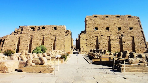 Privat halvdagstur til Luxors østbred