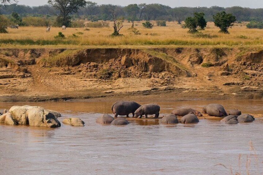 Ngorongoro Crater & Serengeti | 4 Days