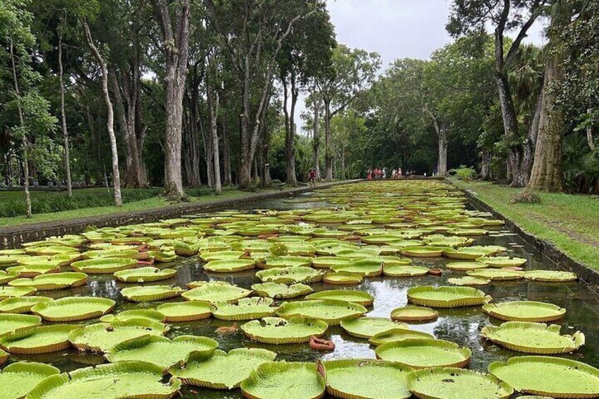 Mauritius Private North Tour