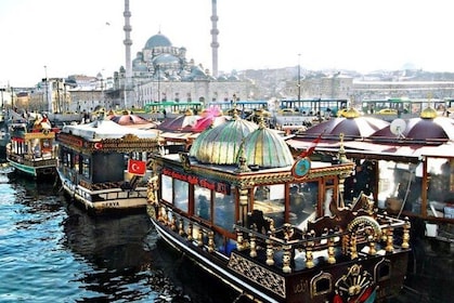 Tour privato di Istanbul Progettato per volo di scalo, trasferimento incl.