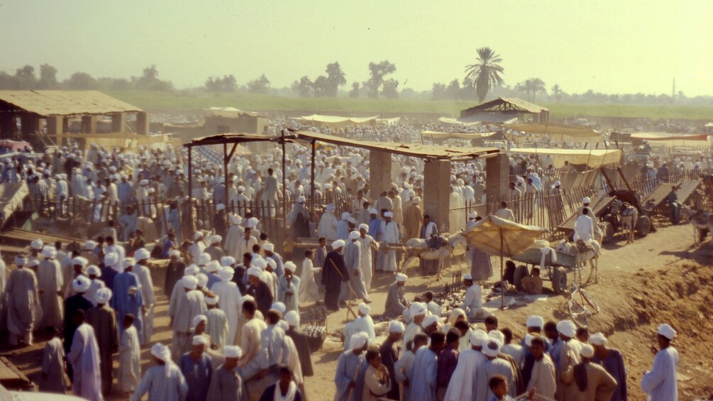 Crowds of shoppers at the Darau Camel Market near Aswan