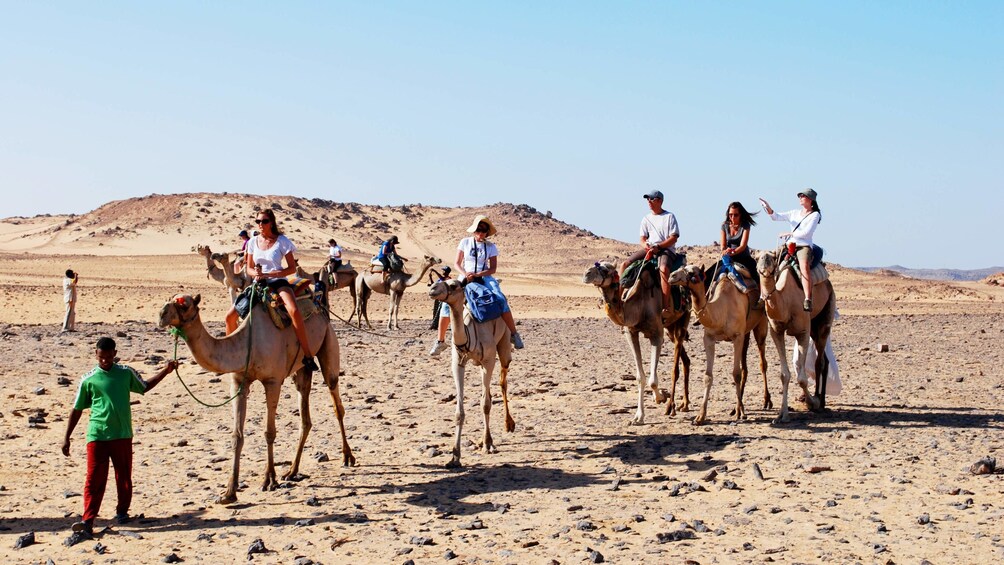 Camel riding group in the desert in Aswan