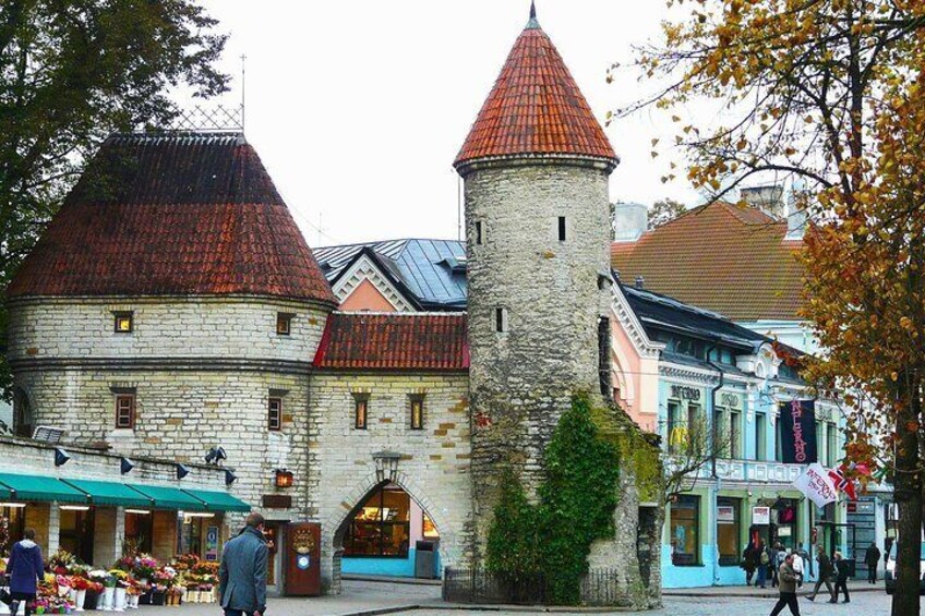 3-Hour Private Tour of Tallinn