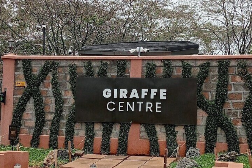 Short Safari = Nairobi National park, Giraffe center and Museum