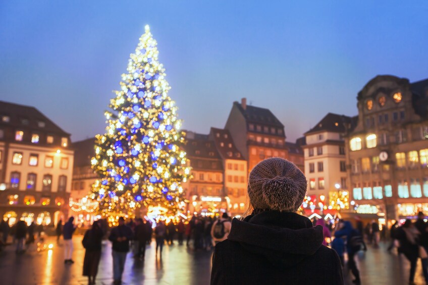 Strasbourg & Christmas Market Private Tour for Families