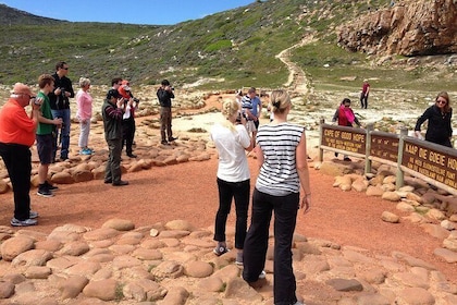 Private Cape of Good Hope Tour & Cape Point
