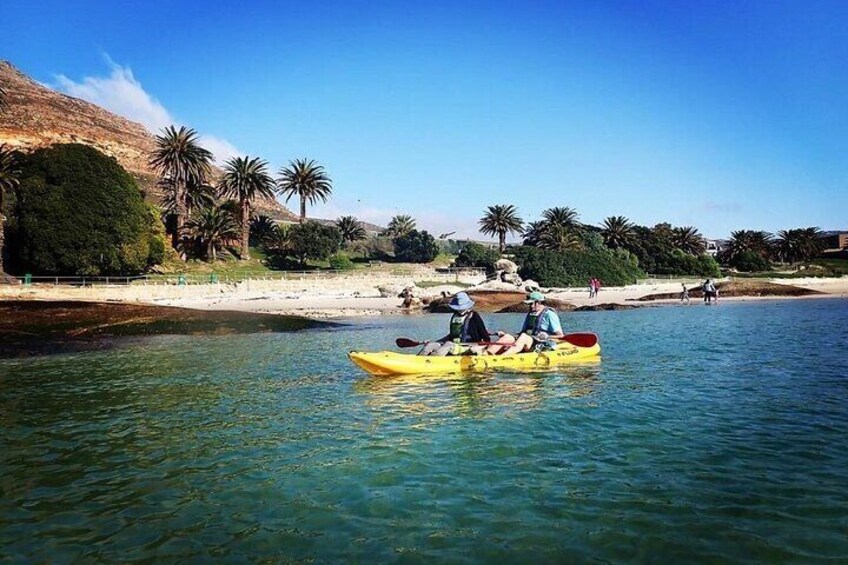 No previous paddle experience required