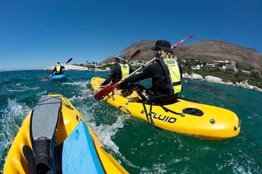 Penguin Paddle
