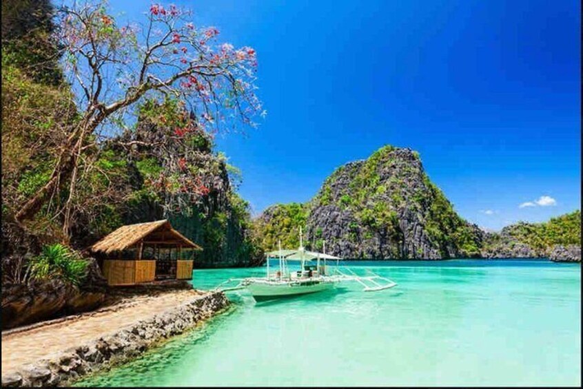 3 Days Coron Palawan Reefs & Wreck Multi Day Tours