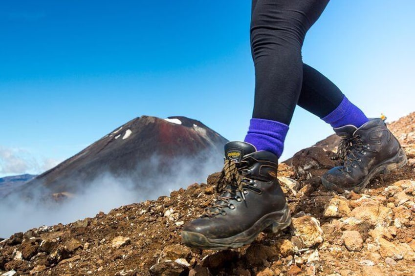 Tongariro Alpine Crossing Shuttle Options