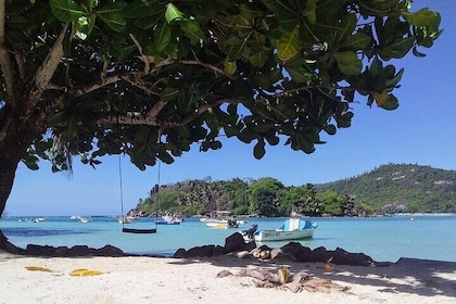 Giro della spiaggia che salta su Mahe Seychelles