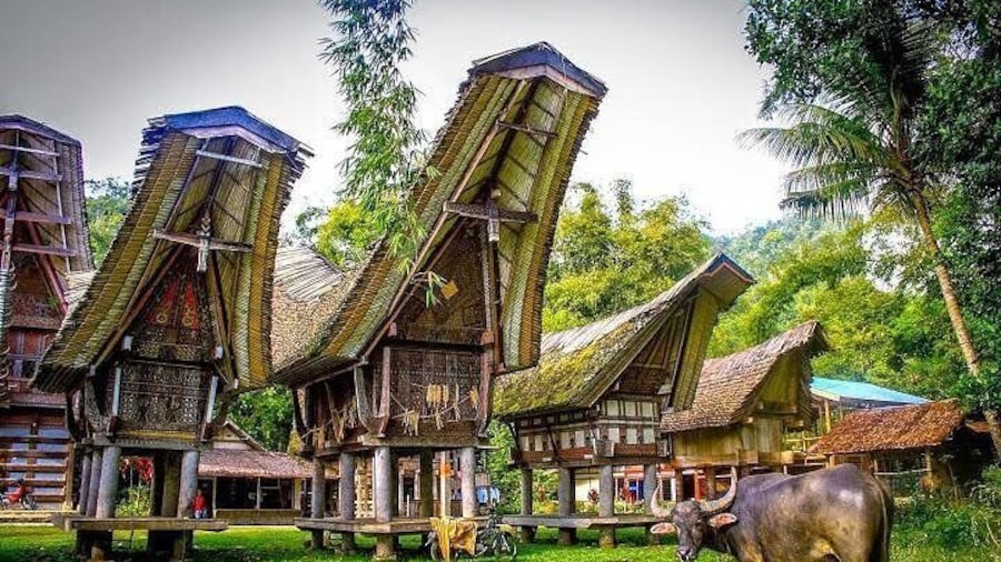 3 Days Tana Toraja from Makassar: Kete Kesu Village, Menhir to Funeral Burial