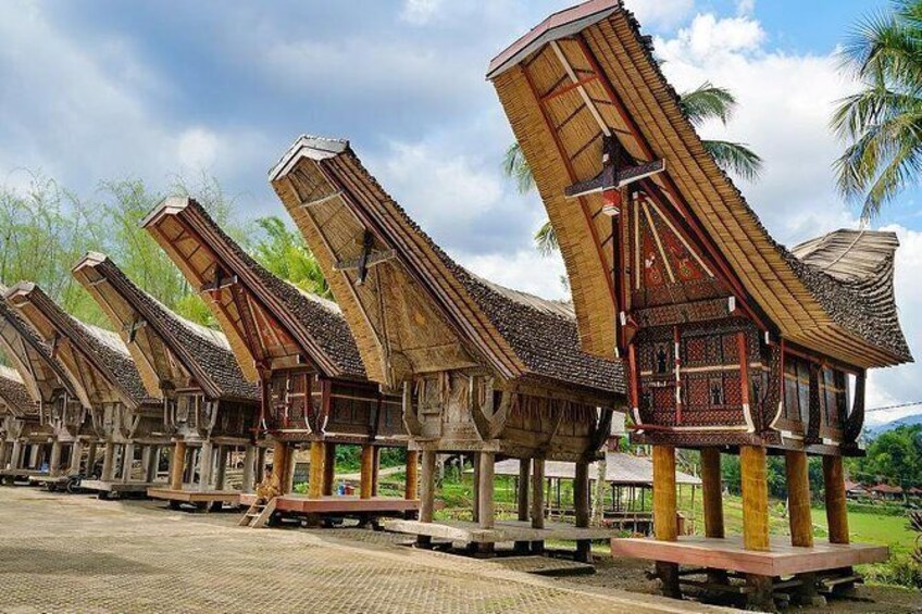 4 Days Toraja Cultural Tour from Makassar: Tongkonan Houses to Toraja  Funerals