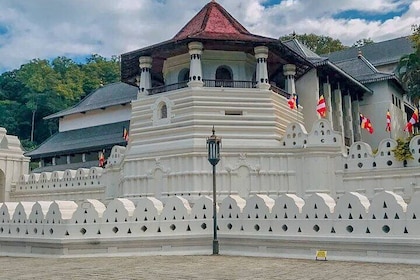 Day Trip to Kandy - Royal botanical Garden/Tooth Of Relic Temple