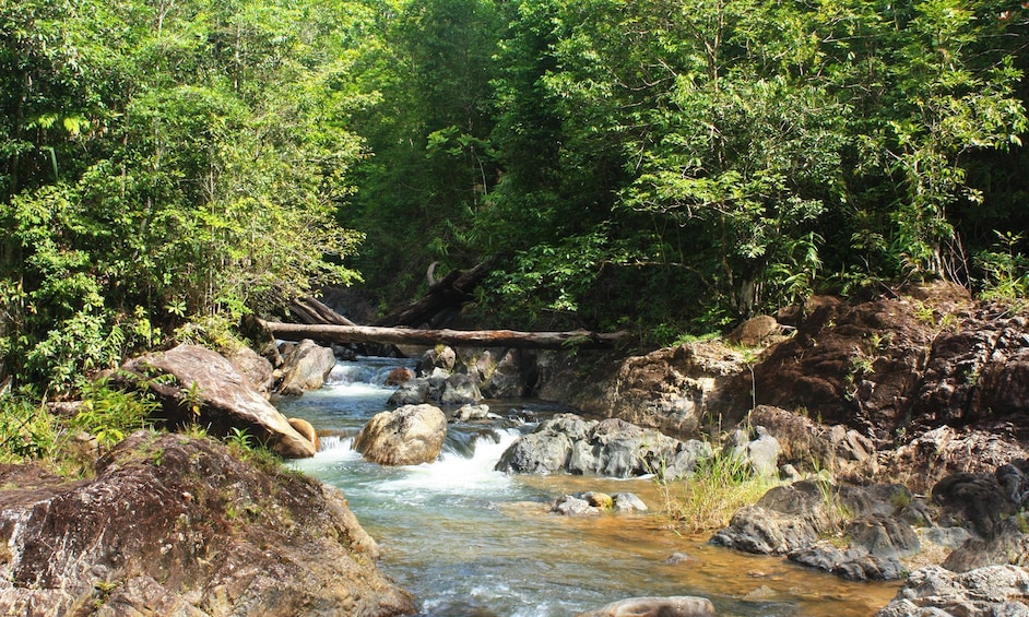 Whitewater Rafting & 4-Wheel-Drive Adventure