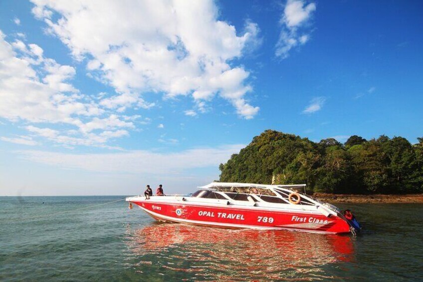 Koh Phi Phi Day Tour by Opal Travel Speedboat