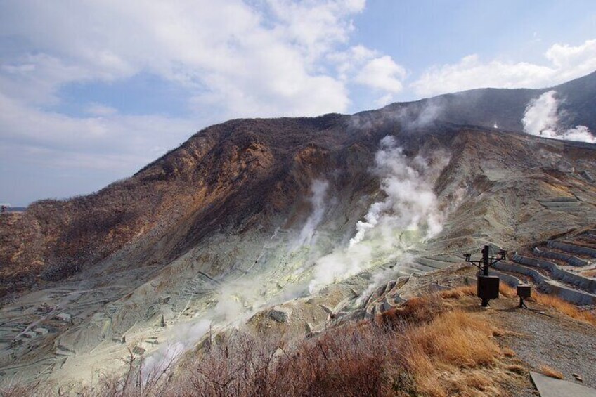 Hakone & Gotemba All Must-Sees Private Chauffeur Tour with a Driver (Tokyo DEP.)