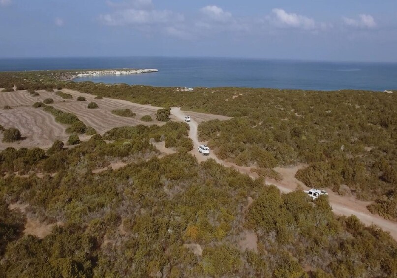 Foto 5 von 8 laden 4x4 Safari to Akamas Peninsula with Lunch