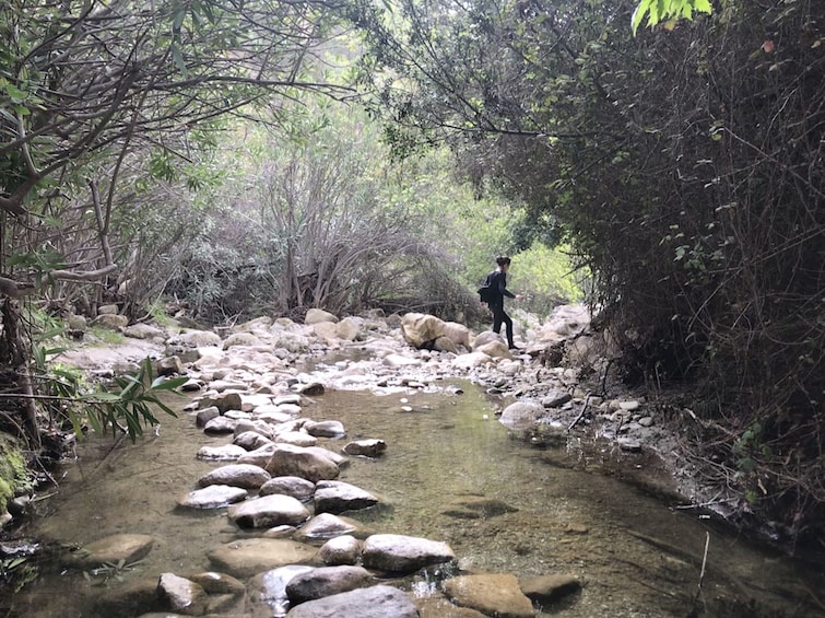 4x4 Safari to Akamas Peninsula with Lunch