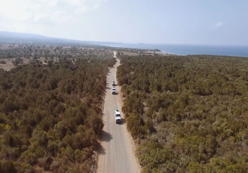Foto 1 von 8 laden 4x4 Safari to Akamas Peninsula with Lunch