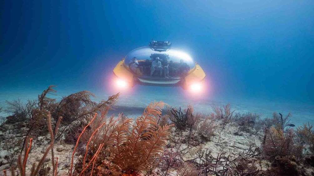 Submarine Underwater Cruise
