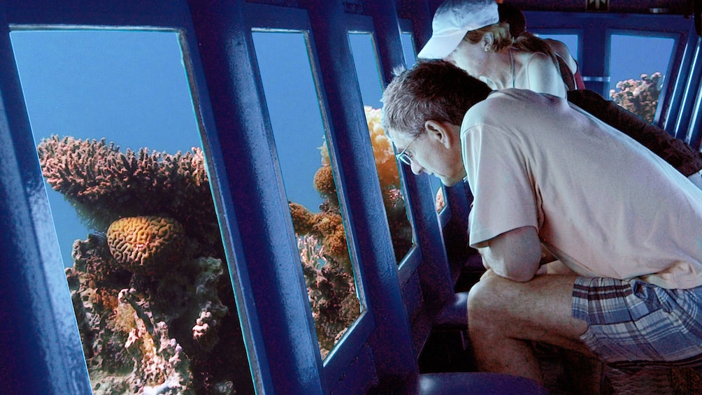 people viewing sealife through windows of submarine in egypt