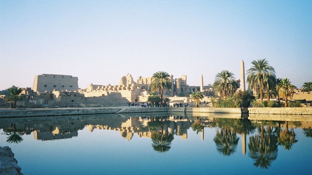 city view with water and palm trees in egypt
