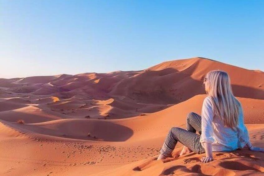 Desert Tour From Riyadh