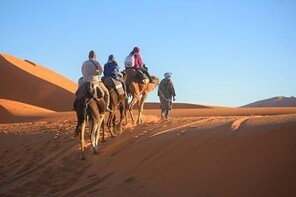 Desert Tour From Riyadh