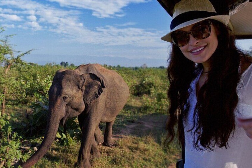 From Ella - Udawalawe Safari & Transfer to Other Locations