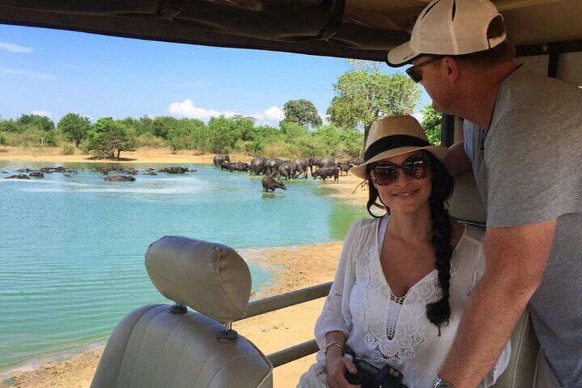 From Ella - Udawalawe Safari & Transfer to Other Locations