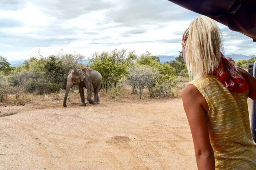 From Ella - Udawalawe Safari & Transfer to Other Locations