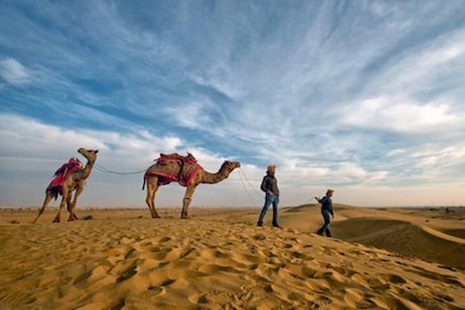 Experience Camel Safari With Folk Dance & Dinner