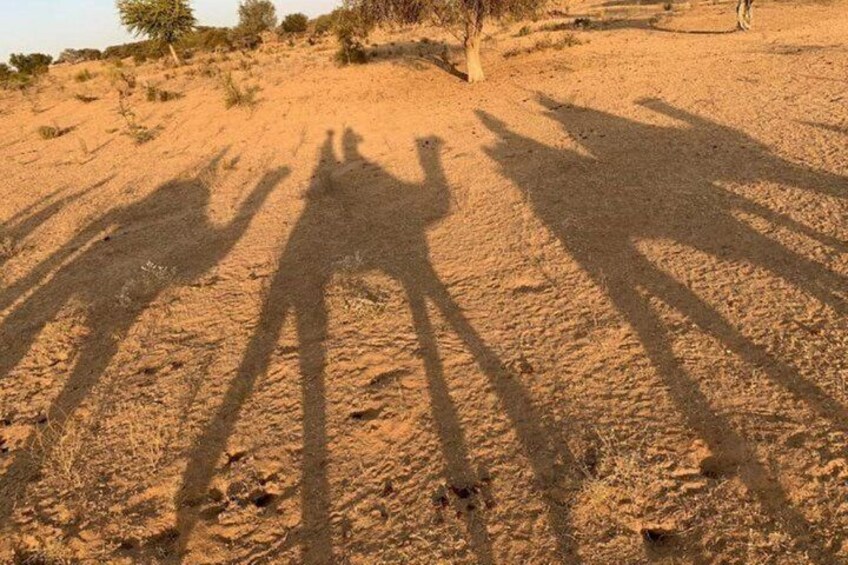 Jaisalmer Thar Camel Safari With Folk Dance & Marwari Dinner