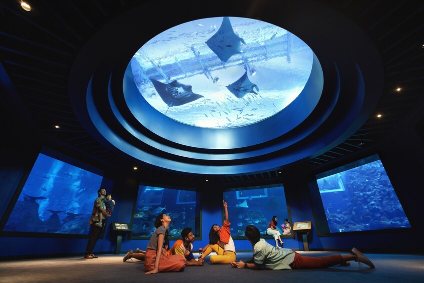 Show item 5 of 7. S.E.A. Aquarium™ One-Day Ticket