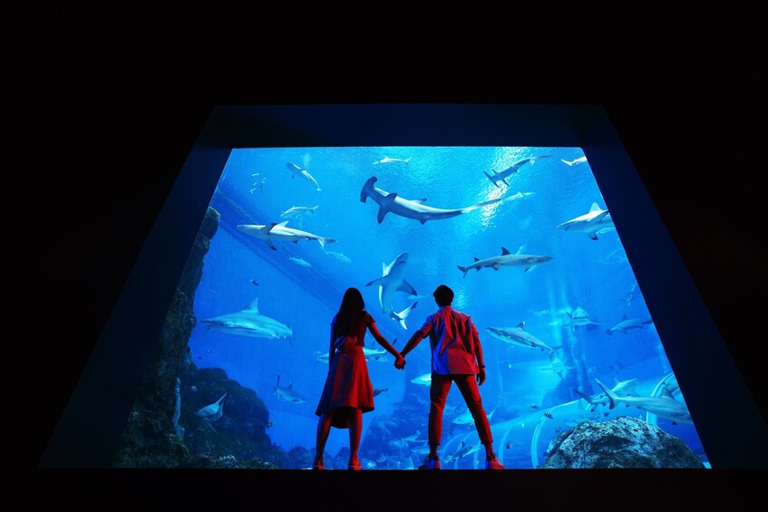 Show item 2 of 7. S.E.A. Aquarium™ One-Day Ticket